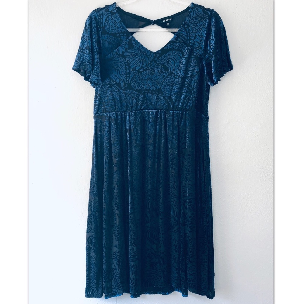 Fancy Velvet Detail Knee Length Dress.